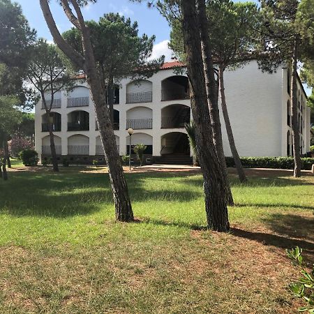 Studio 150M De La Mer Argelès-sur-Mer Eksteriør billede